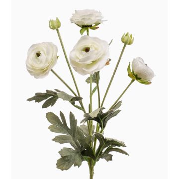 Ramo decorativo di ranuncolo HIBBA, color crema, 65 cm, Ø 5-7 cm Ramo decorativo di ranuncolo HIBBA, color crema, 65 cm, Ø 5-7 cm