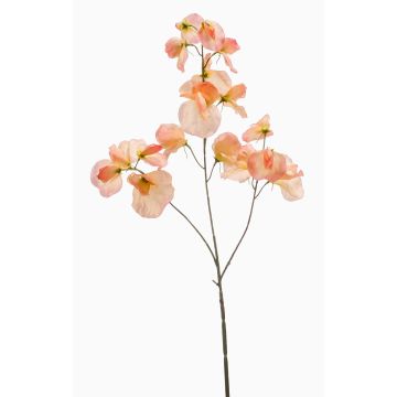 Fiore decorativo artificiale di pisello odoroso KANZI, color pesca, 75 cm, Ø 4-7 cm