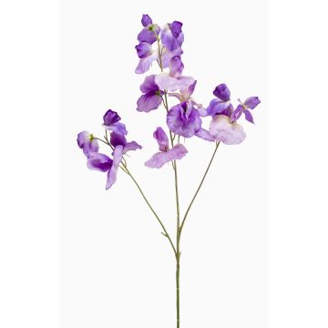 Fiore artificiale decorativo, pisello odoroso KANZI, viola, 75 cm, Ø 4-7 cm