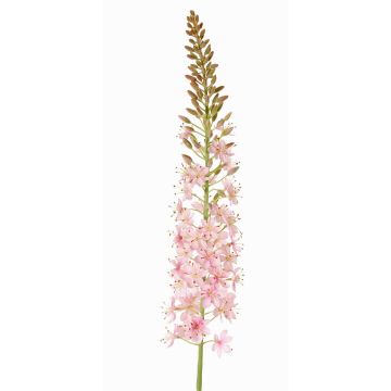 Candela da steppa in plastica SELINA, rosa chiaro, 105 cm, Ø 9 cm