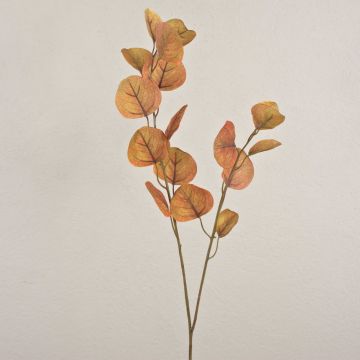 Ramo di eucalipto artificiale SOPONG, marrone, 80 cm Ramo di eucalipto artificiale SOPONG, marrone, 80 cm