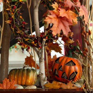 L'autunno prende piede L'autunno prende piede