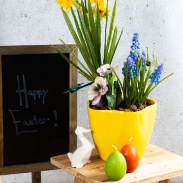 Pasqua