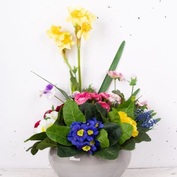 Il mio piccolo giardino