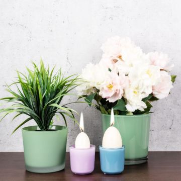 Stagione Eggsclusive Stagione Eggsclusive