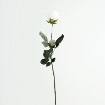 Rosa artificiale FREIDA, Eco Collection, bianco-lilla, 65 cm, Ø 7 cm Rosa artificiale FREIDA, Eco Collection, bianco-lilla, 65 cm, Ø 7 cm