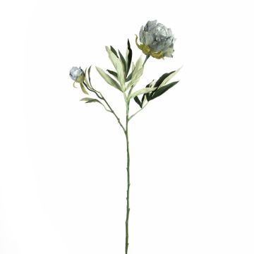 Ramo di fiori in plastica Paeony GALENE, Eco Collection, grigio-azzurro, 65 cm, Ø 10 cm Ramo di fiori in plastica Paeony GALENE, Eco Collection, grigio-azzurro, 65 cm, Ø 10 cm
