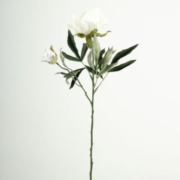 Ramo di fiori in plastica Paeony GALENE, Eco Collection, bianco-lilla, 65 cm, Ø 10 cm