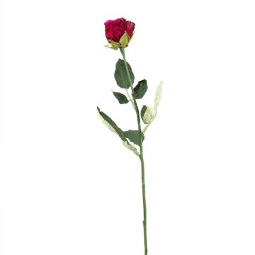 Rosa artificiale FREIDA, Eco Collection, rosa scuro, 60 cm, Ø 4 cm Rosa artificiale FREIDA, Eco Collection, rosa scuro, 60 cm, Ø 4 cm