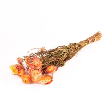 Mazzo di fiori di paglia essiccati ALMINKA, giallo-arancione, 50-60 cm, Ø 15 cm