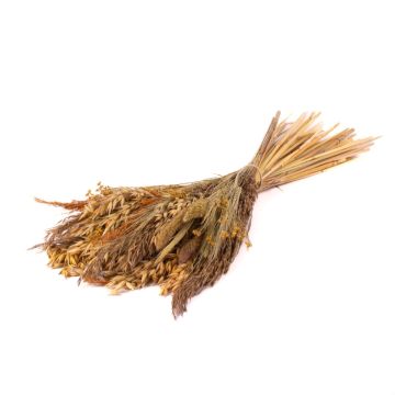 Mazzo di fiori secchi FALADA, naturale, 65 cm, Ø 20 cm