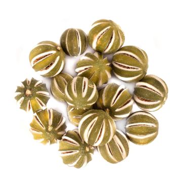 Frutta secca decorativa lime SIEGLINDE, incisi, verdi, Ø4-5cm, 250g