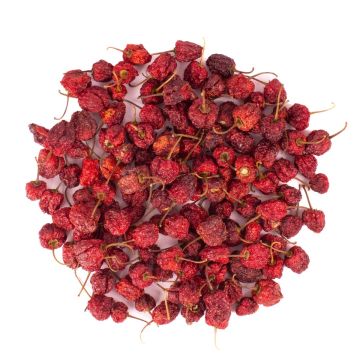 Frutta secca decorativa peperoncini rotondi ANNELIESE, rossi, Ø 1-3 cm, 200 g Frutta secca decorativa peperoncini rotondi ANNELIESE, rossi, Ø 1-3 cm, 200 g