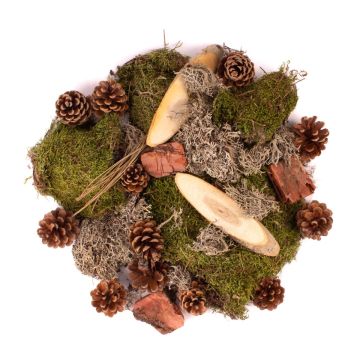 Decorazione spargibile naturale QUIKISA in muschio, pigne, legno, licheni, verde-marrone, 500 g Decorazione spargibile naturale QUIKISA in muschio, pigne, legno, licheni, verde-marrone, 500 g