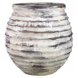 Carpino Siepe - 8 Piante Alte 80/100cm In Vaso Ø16, Per Siepe 5 Metri, Carpinus Betulus - Foto 12