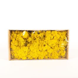 AIYONG Muschio Islandese 200g – Verde Naturale Conservato Per Decorazioni, Terrari E Pasqua