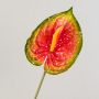 Anthurium artificiale JASMINA, verde-rosso, 75cm, 14x18cm