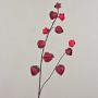 Ramo di physalis finto MARCY, frutti, rosso bordeaux, 95cm