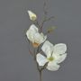 Magnolia decorativa MALBINE, crema, 50cm, Ø6-10cm