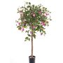 Fuchsia finta MINERVA, tronco naturale, fiorito, rosa, 90cm