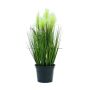 Stipa artificiale TIMEA con pannocchie, verde, 60cm