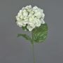Ortensia finta MONA, crema, 70cm, Ø 16cm