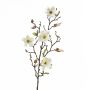 Magnolia artificiale LILO, crema, 75cm, Ø5-9cm