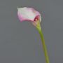 Calla finta MARIOLA, rosa-bianco, 80cm, 8x15cm