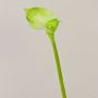 Calla finta MARIOLA, verde, 80cm, 8x15cm