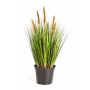 Erba artificiale di coda di volpe FELIX con pannocchie, verde-marrone, 60cm