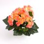 Begonia di plastica IVANA su stelo, salmone, 20cm, Ø3-5cm