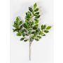 Ramo finto di Ficus Benjamini AJITH, verde-bianco, 45cm