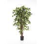 Ficus Benjamini finto JARLAN, tronchi veri, verde, 120cm