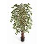 Ficus Benjamini finto JARLAN, tronchi veri, verde-bianco, 120cm