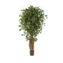 Ficus Benjamini finto LUCIUS, tronchi veri, verde, 120cm