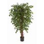 Ficus Benjamini artificiale DAKU, tronchi naturali, verde, 90cm