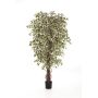 Ficus Benjamini artificiale DAKU, tronchi naturali, verde-bianco, 90cm