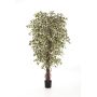 Ficus Benjamini artificiale DAKU, tronchi naturali, verde-bianco, 120cm