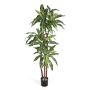 Dracaena Fragrans artificiale LAURA, tronchi veri, verde-bianco, 120cm