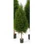 Cedro di plastica YVONNE, verde, 120cm