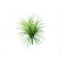 Cannuccia di palude di plastica ELIAS su stelo, verde, 75cm