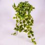 Edera artificiale MAJA su stelo, verde-bianco, 70cm