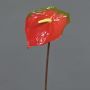 Anturio finto MOIRA, rosso-verde, 75cm, 13x20cm