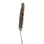Palma fiore / Cacho Coco MAKENA, naturale, essiccato, 120-190cm
