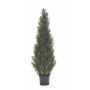 Cedro finto EDELA, zona trasversale, verde, 120cm