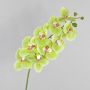 Ramo tessile di orchidea Phalaenopsis OPHELIA, verde-rosa, 100cm