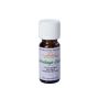 Olio essenziale naturale ROMERO, Cedro dell'Himalaya, 10ml, 7cm, Ø2,3cm