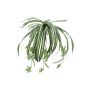 Giglio verde di plastica MALOU su stelo, verde-bianco, 60cm