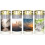 Luce tombale SAVINA con motivo, coperchio, 4 pezzi, bianco, 17cm, Ø7,7cm, 96h