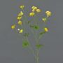 Ranuncolo di plastica NORA, giallo, 70cm, Ø2-3cm